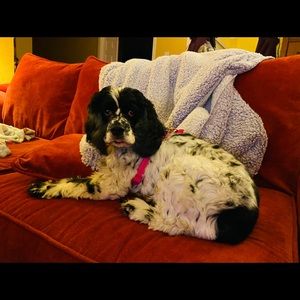 Meet your Posher, Sue